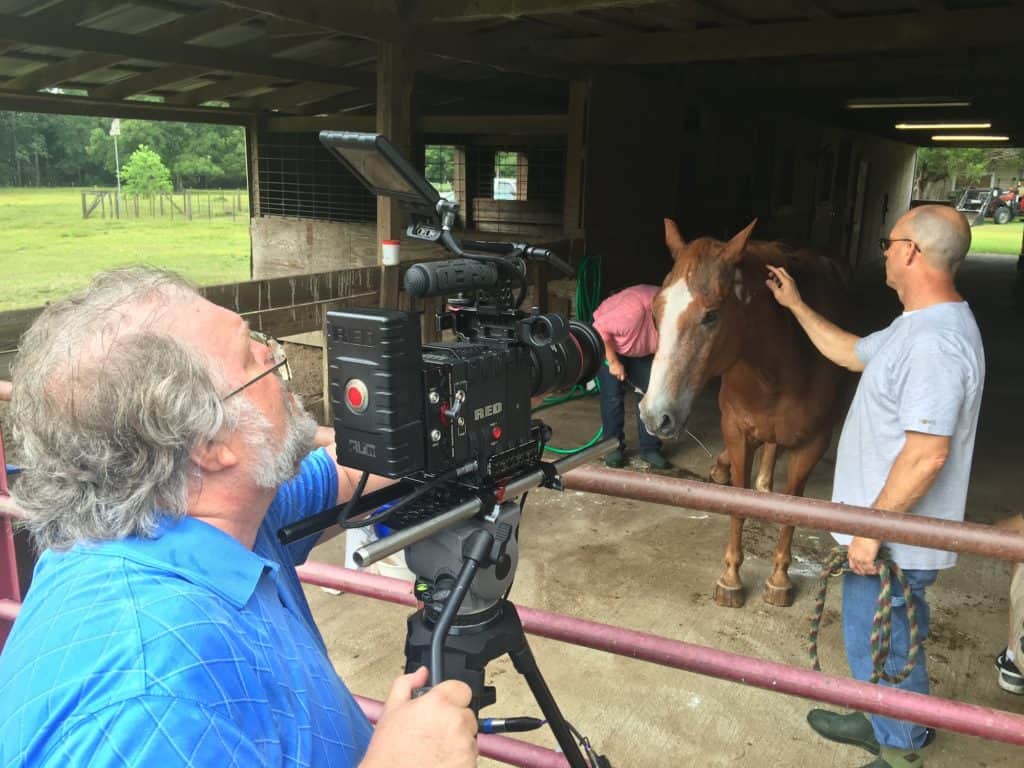 Man Petting Horse with Camera